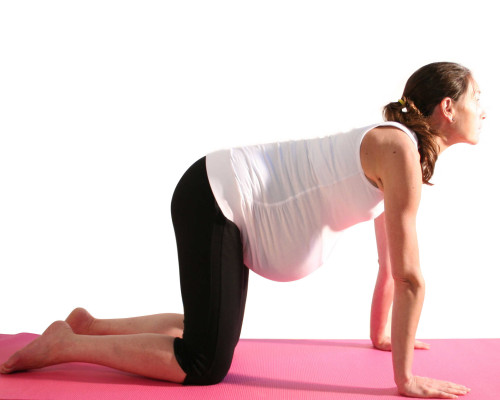 Pregnancy yoga cat stretch 2 bj,h