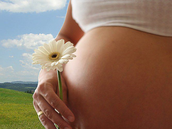 Можно ли ромашку при беременности