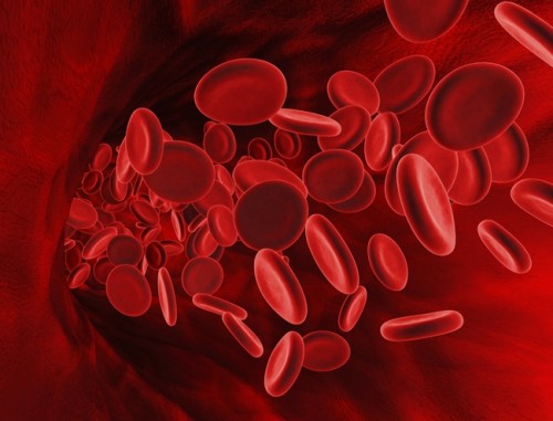Microscopic Blood Cells
