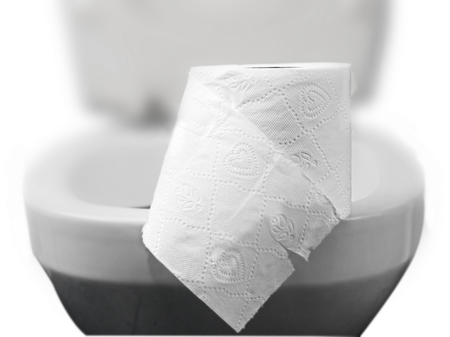 roll of toilet paper on a toilet concept for constipation and bowel movement