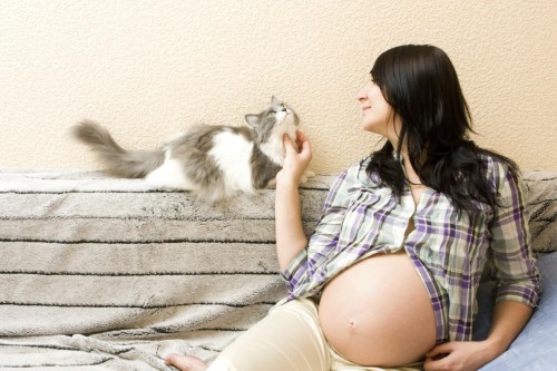 Стригущий лишай при беременности влияние thumbnail