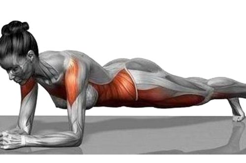 the-plank-targets-more-than-just-the-core