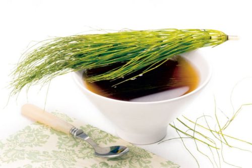 12711_stock-photo-herbal-tea-horsetail-s-infusion-in-a-white-cup-equisetum-arvense-naturopathy-selective-focus-shutterstock_41390665
