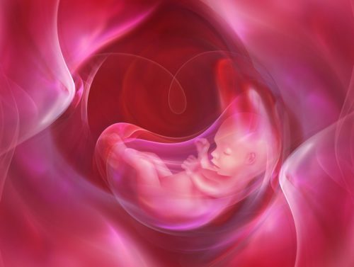 Как определить гипоксию плода при беременности самостоятельно
