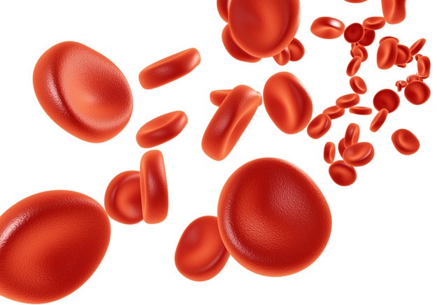 Нормы лейкоцитов в крови при беременности. Почему повышены лейкоциты при беременности. Причины пониженного уровня лейкоцитов в крови