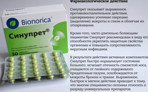 Синупрет таблетки можно ли при беременности