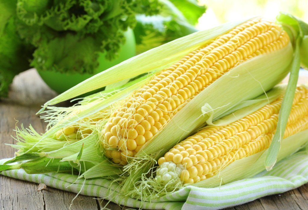 Кукуруза при беременности — польза и вред. Можно ли вареную и консервированную кукурузу при беременности