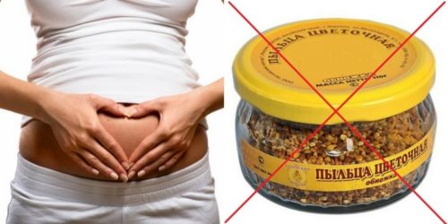Перга при беременности полезные свойства и противопоказания thumbnail