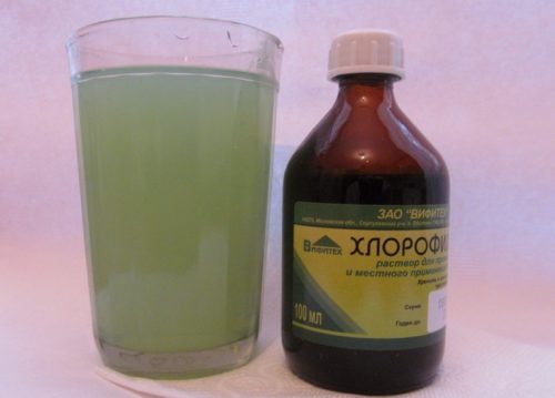 Хлорофиллипт масляный при беременности для горла