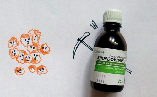 Хлорофиллипт масляный в нос при беременности