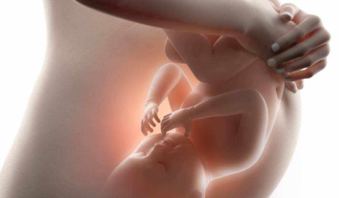 Лечение орз при беременности 1 триместр народными средствами