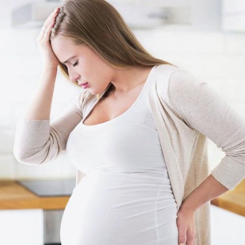 Мята мелисса противопоказания при беременности