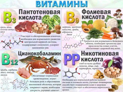 Витамины в первом триместре беременности дозировка