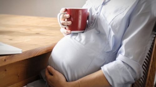 Можно при беременности пить липу при