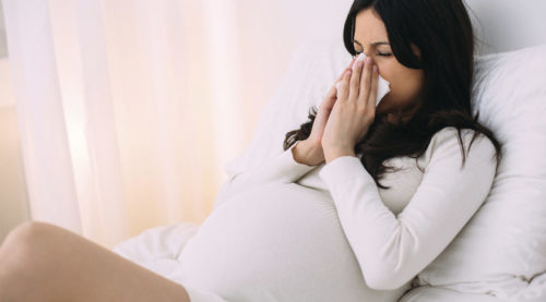 Эвкалипт при беременности на ранних сроках