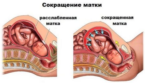 Во время беременности можно гладить живот thumbnail