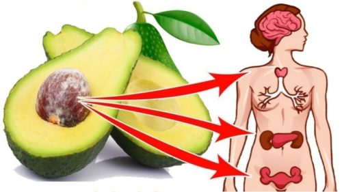 Авокадо польза и вред беременным