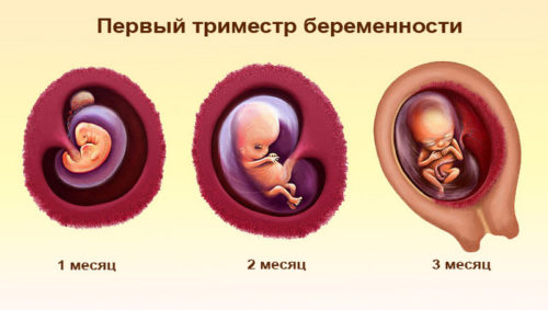 Антигриппин противопоказания для беременных